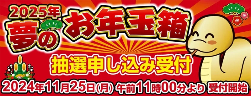 ヨドバシカメラで「2025年 お年玉箱」の抽選販売申し込み受付がくるよ！