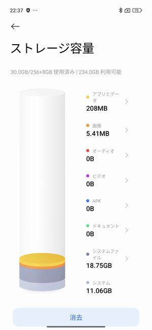 ストレージ残量は234GB
